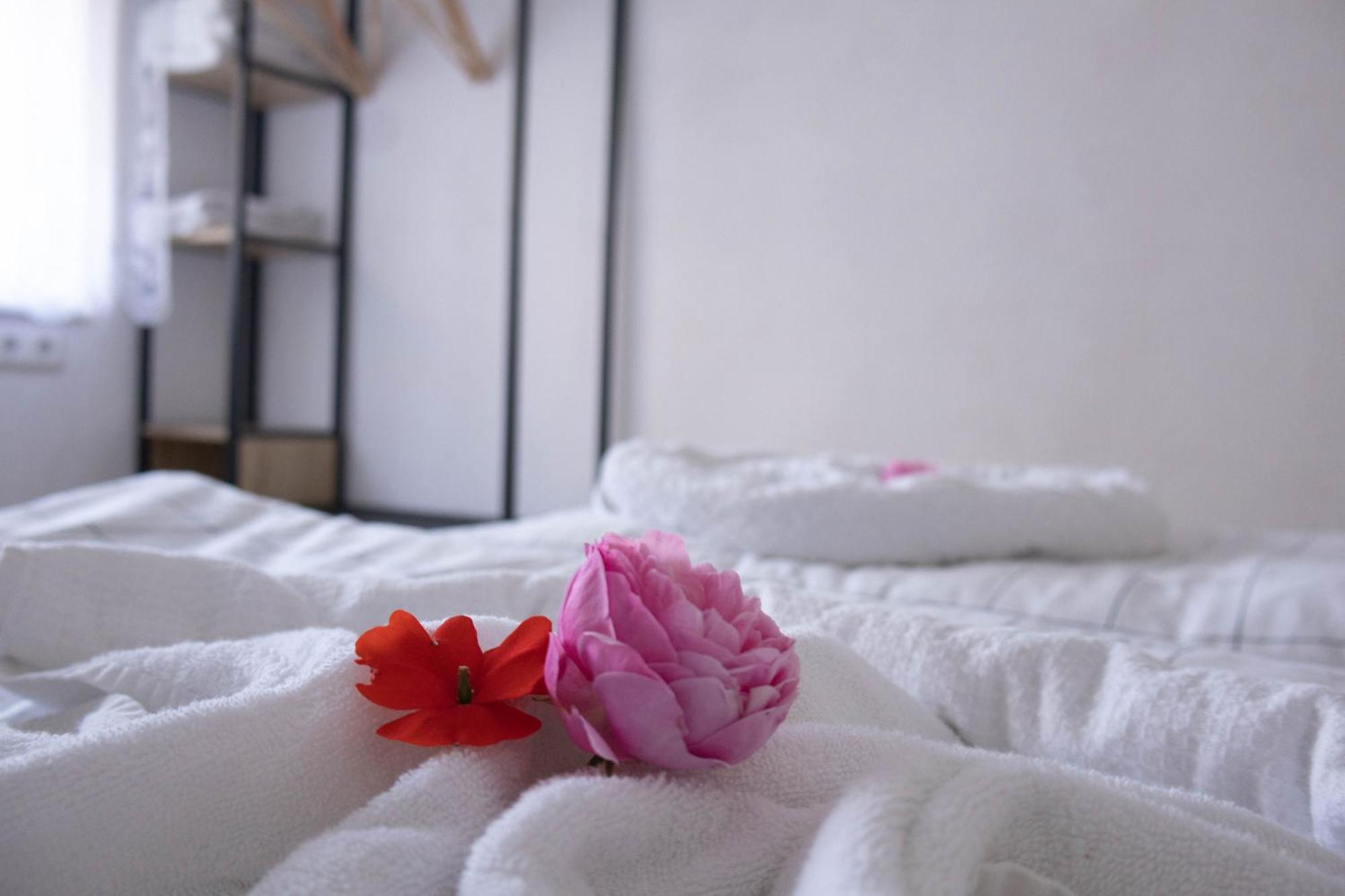 Kuzey Apartments 카펠그라펜하우젠 외부 사진